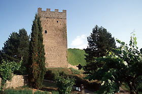 porc02.jpg (9196 byte)