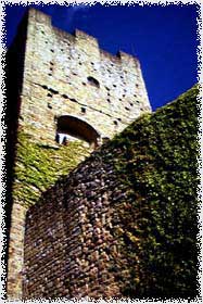 porc1.jpg (17733 byte)