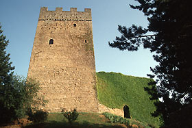 porc2.jpg (13006 byte)