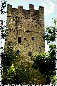 porc3.jpg (18137 byte)