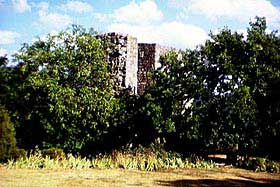 porc5.jpg (15840 byte)