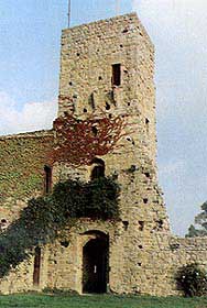 porc6.jpg (13457 byte)