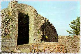 radi14.jpg (14082 byte)