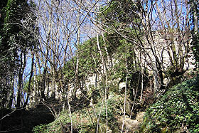 foto2.jpg (29223 byte)