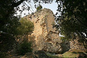 img32.jpg (21500 byte)