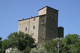 snic3.jpg (17976 byte)