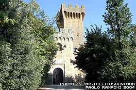 spedal2.jpg (16049 byte)