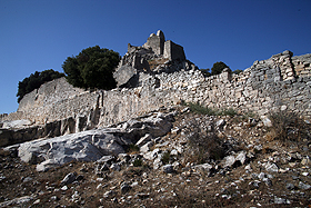 Il fronte occidentale