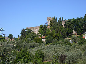 vincig2.jpg (16073 byte)