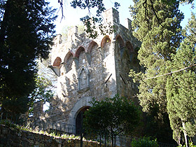 vincig2.jpg (16073 byte)